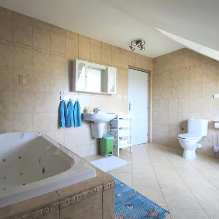 Vila Plana Nad Luznici Holiday home Plana nad Luznici