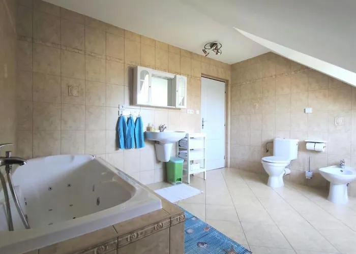 Vila Plana Nad Luznici بيت للعطل Planá nad Lužnicí