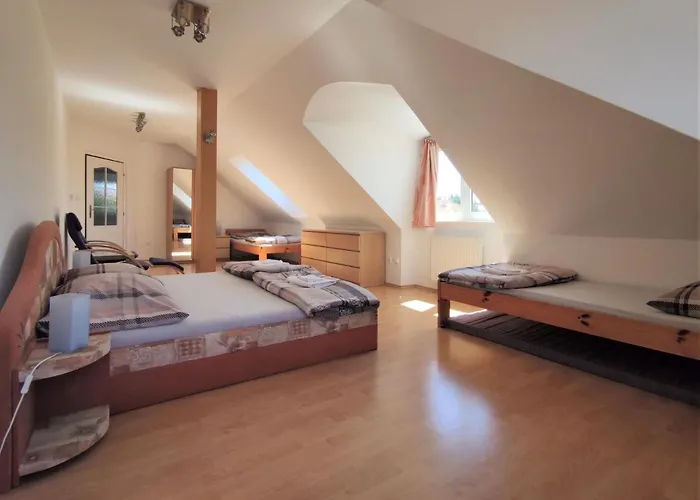 Сasa de vacaciones Vila Plana nad Luznici *